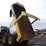 2016-komatsu-hm400-5-image-8