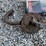 #1666-•-zee-line-hand-pump-image-2