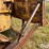 caterpillar-d6-image-14