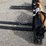 #145-•-wolverine-hydraulic-skid-steer-pallet-forks-image-3