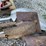 #1587-•-pile-of-various-shovels-image-4