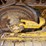 2023-caterpillar-953-image-77