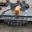 #135-•-wolverine-72"-skid-steer-brush-cutter-image-3