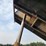 1999-peterbilt-379-image-15