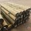 bundle-of-(24)-posts-image-1