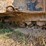 #21999-•-2020-hyundai-hx220lc-excavator-image-59