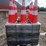 #106-•-(250)-traffic-cones-image-3