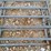 #21589-•-7--galvanized-corral-panels-image-10