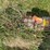 westgo-1210-image-18