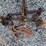 #1594-•-(2)-crank-binders-image-1