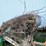 #5497-•-scrap-iron-pile-image-6