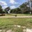 peck-804-image-8