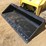 2020-caterpillar-289d3-image-8