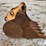 54"-toothed-excavator-bucket-image-4