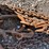 #1694-•-(2)-chains-with-hooks-image-5