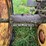 massey-harris-rear-end-image-16