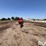 2016-westfield-mkx160-105-image-6