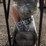 #103-•-land-hero-40-gal-2-stage-gas-air-compressor-image-2