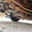 #9855-•-2009-gmc-box-truck-(has-wi-title)-image-11
