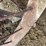 oliver-superior-8ft-grain-drill-image-33