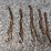 qty-(9)-sets-3'-chain-slings-with-hooks-image-4