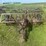 john-deere-14-image-8