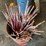#8400-•-pail-of-driveway-markers-image-4