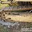 ingersoll-rand-lm500c-image-27