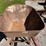 #1684-•-steel-wheelbarrow-image-4