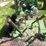 1938-john-deere-a-image-13