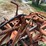 allis-chalmers-9-image-11