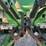 john-deere-616c-image-31