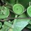 john-deere-s670-image-51