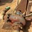 pump-w/-north-america-20hp-electric-motor-image-7