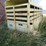 1980-ww-horse-trailer-image-3