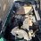 2020-ez-go-express-s4-golf-cart-image-16