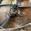 #125-•-barn-sweep-conveyor-image-14