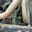 2005-volvo-tri/a-dump-truck-4v5k99gh55n391882-image-35