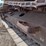 2011-komatsu-pc228us-lc-8-image-35