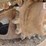 2014-bobcat-t590-image-23