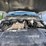 2015-dodge-1500-image-42