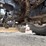 massey-ferguson-263-image-21