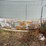 8,000-bushel-dryer-grain-bin-image-16