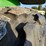 john-deere-6230-image-63