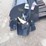 unused-wolverine-86-in.-skid-steer-rototiller-2w04-image-5