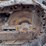 deere-650h-image-32