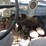 1952-dodge-b-3-ta-142-truck-with-boom-and-winch-image-13
