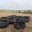feeders-10-tire-234-image-3