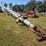 hutchinson-10x71-image-1