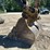 2006-caterpillar-325dl-image-55